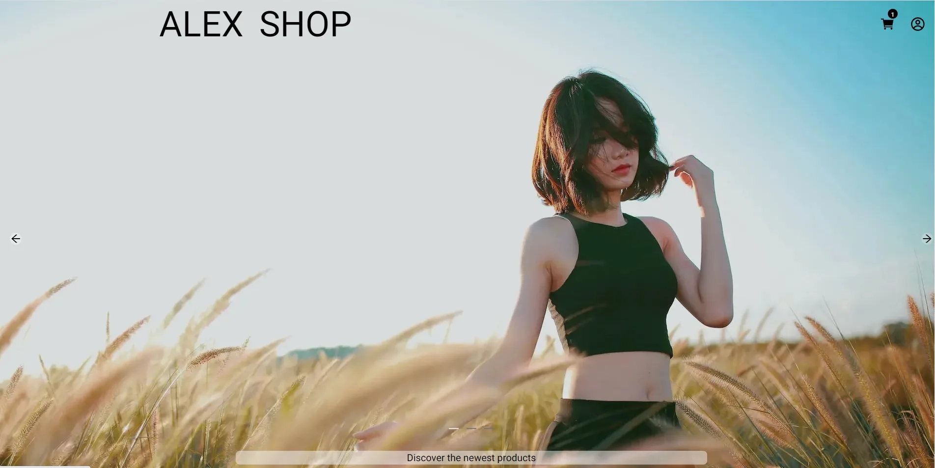 Alex Shop · Site e-commerce
